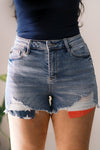 Stars & Stripes Judy Blue Shorts