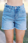 Rustic Rebel Cutoffs - Judy Blues