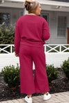 Violet Textured Long Sleeve Top and Drawstring Pants Set