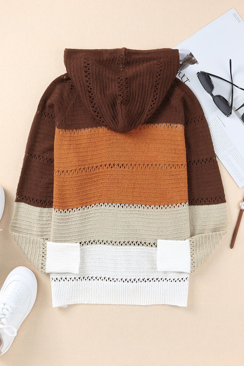 Zip-Up Raglan Sleeve Openwork Hooded Cardigan