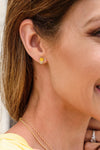 Perfect Combo Earrings