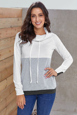 Color Block Raglan Sleeve Drawstring Sweatshirt- 5 Colors